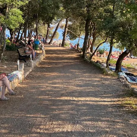 Palma *